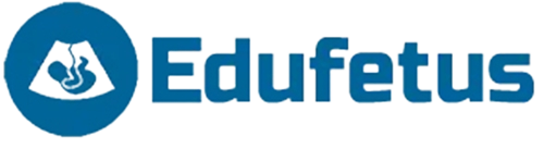 Edufetus