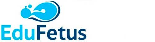 Edufetus